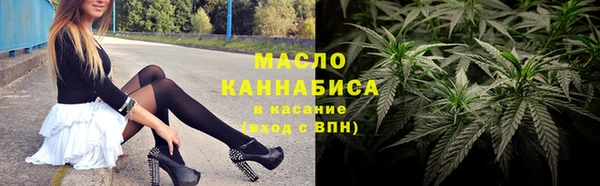 гидра Абаза
