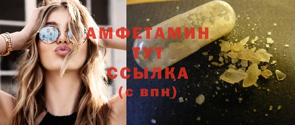 гидра Абаза