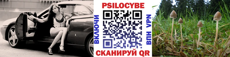 Галлюциногенные грибы мицелий  даркнет сайт  Луга 